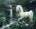 Unicorn-fantasy-30995379-1280-1024